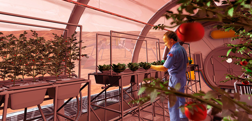 astronauts growing food