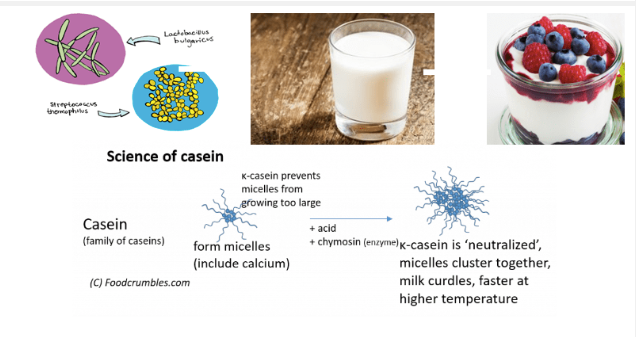 curd making with casein proteins