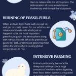 The Causes of Global Warming