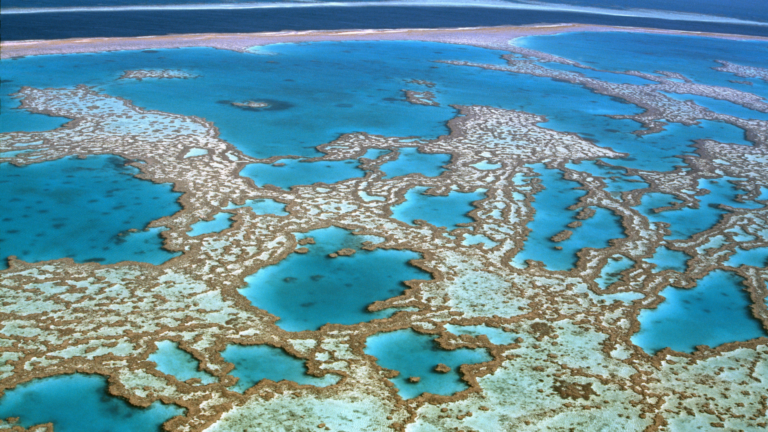 great-barrier-reef-the-world-s-largest-living-quiz-club