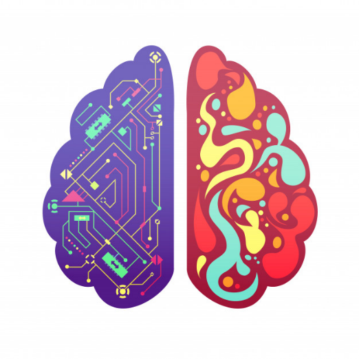 the left brain and the right brain