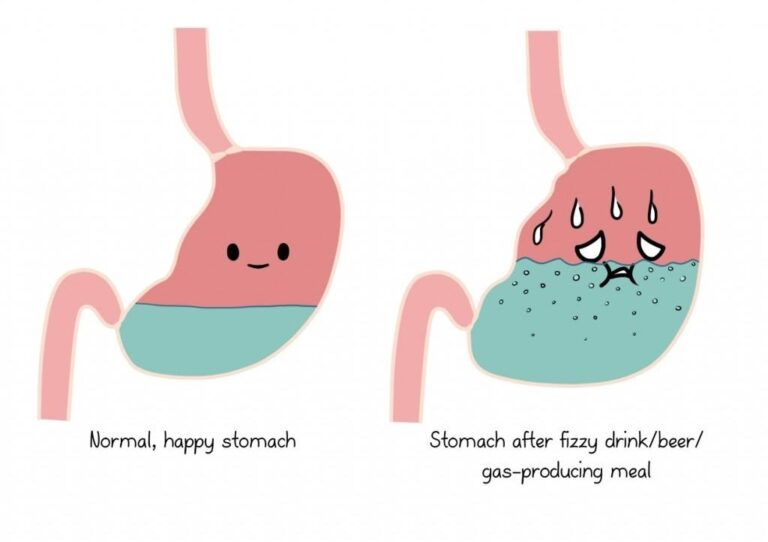 Why do we burp while drinking carbonated drinks? ESTI DOT MY