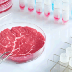 The Rise of Lab-Grown Meat