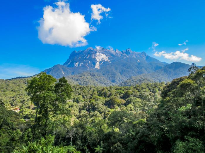 kinabalu national park, a conservation area in the tropics 