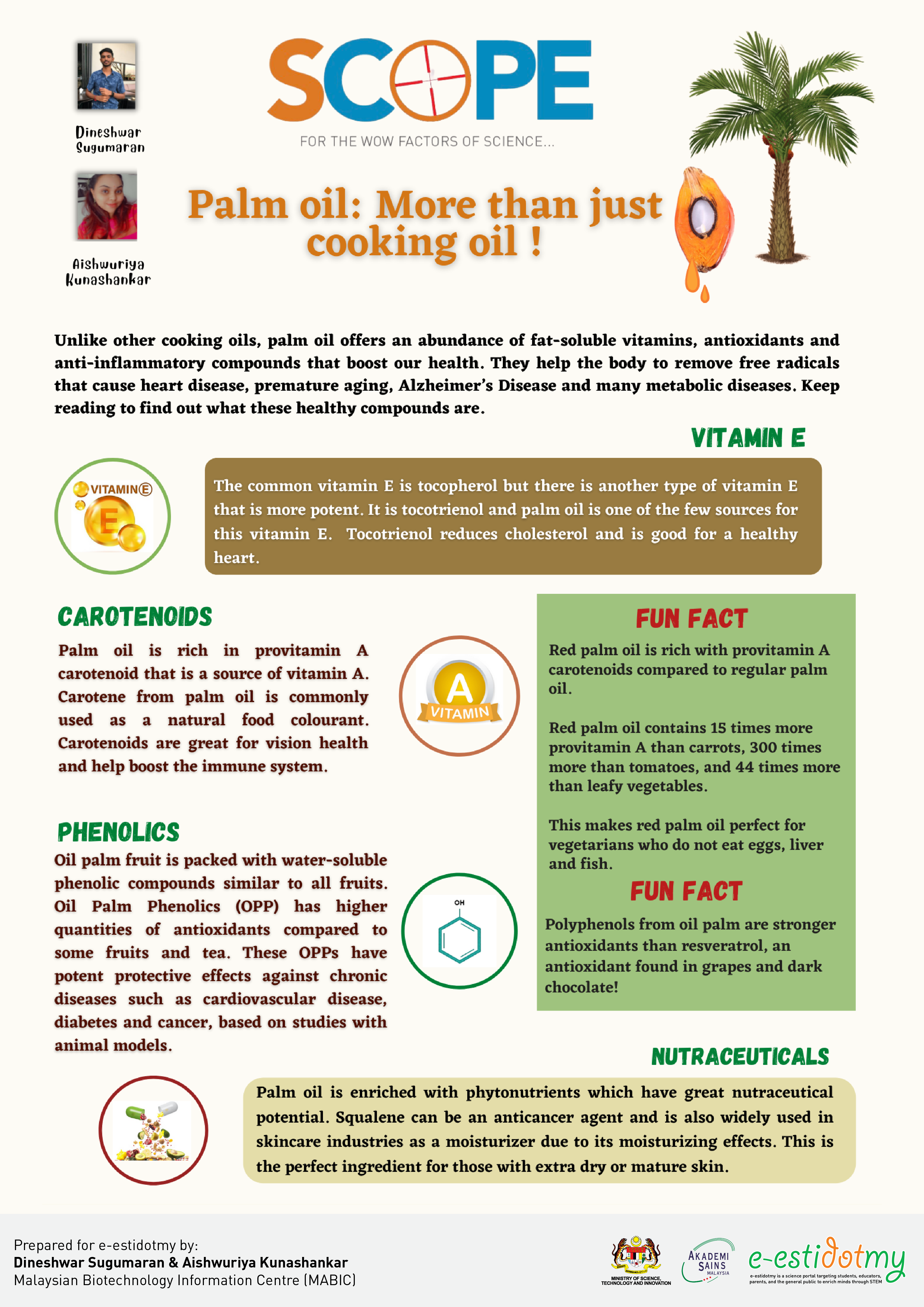 palm oil is more than just cooking oil