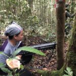 Unlocking Nature’s Secrets: Exploring the Intriguing World of Forest Forensics