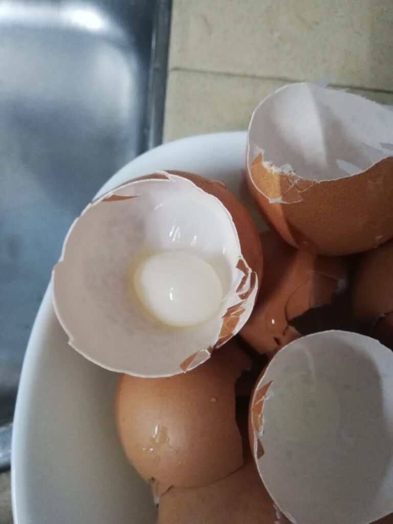 egg inside an egg