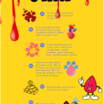 6 Fun Facts About Blood