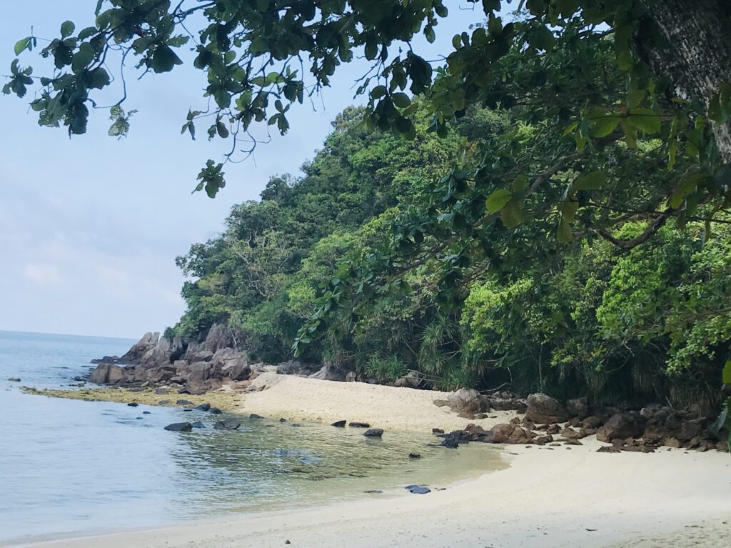 Pantai Pasir Cina, Pulau Bidong ialah salah satu ekosistem untuk siput laut.