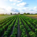 Beyond the Plate: Farming for a Healthy Planet