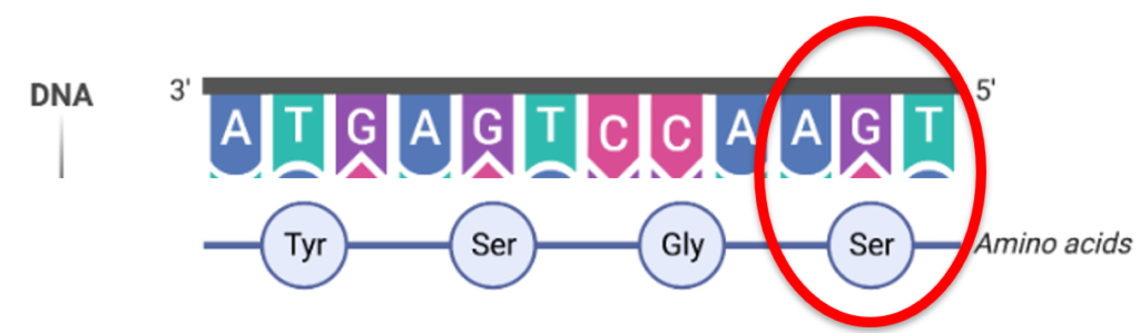 epigenetics AGT serine