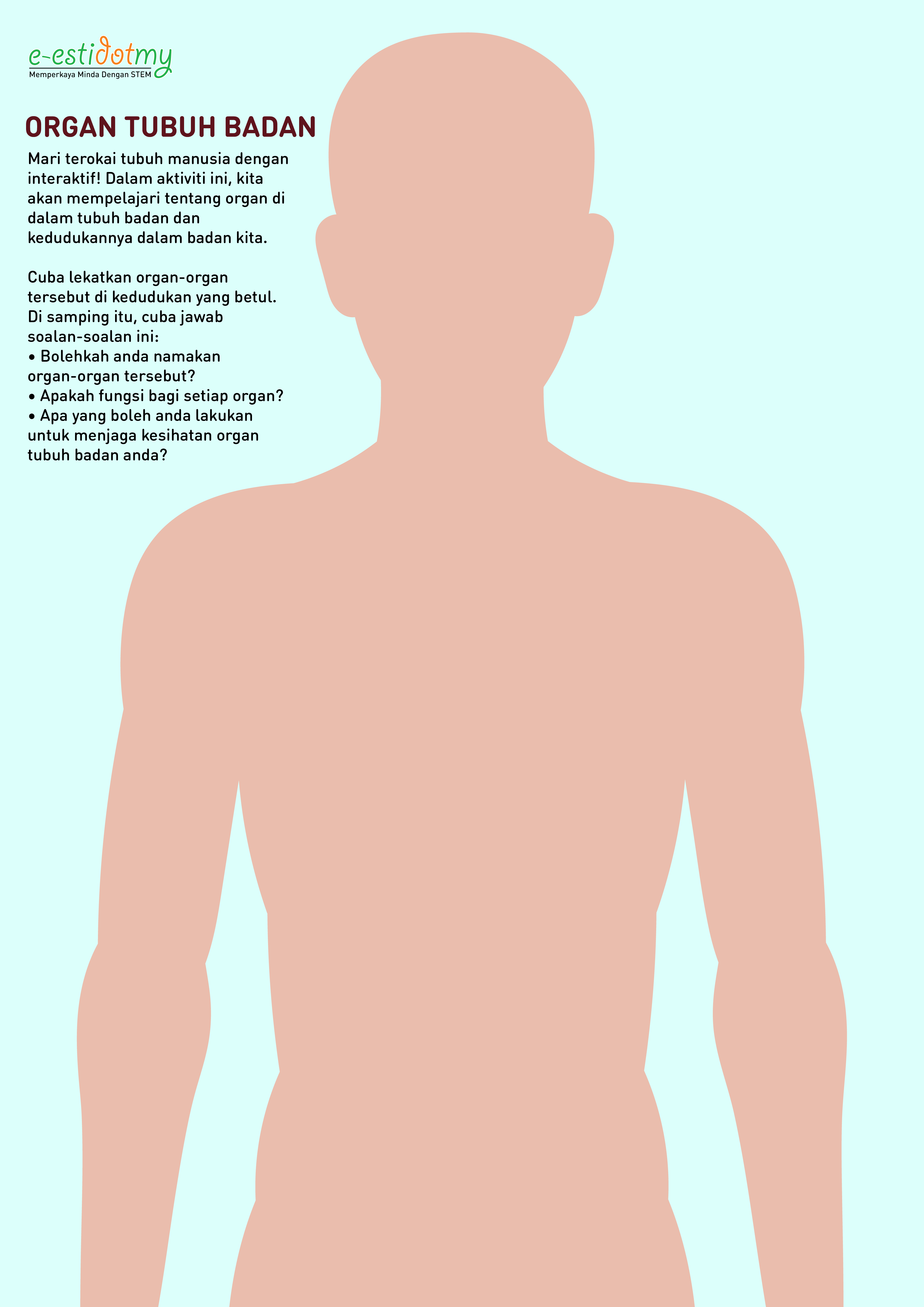 kenali organ tubuh badan manusia (1)