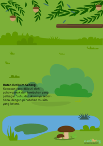 habitat haiwan (hutan beriklim sedang)