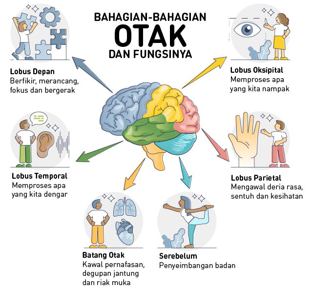 ujian stroop bahagian otak