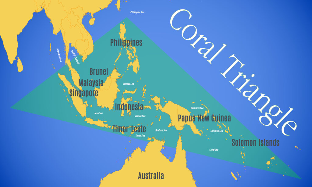 terumbu karang coral triangle