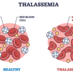 thalassemia red blood cells