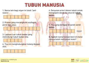 tubuh manusia, isi ruang kosong