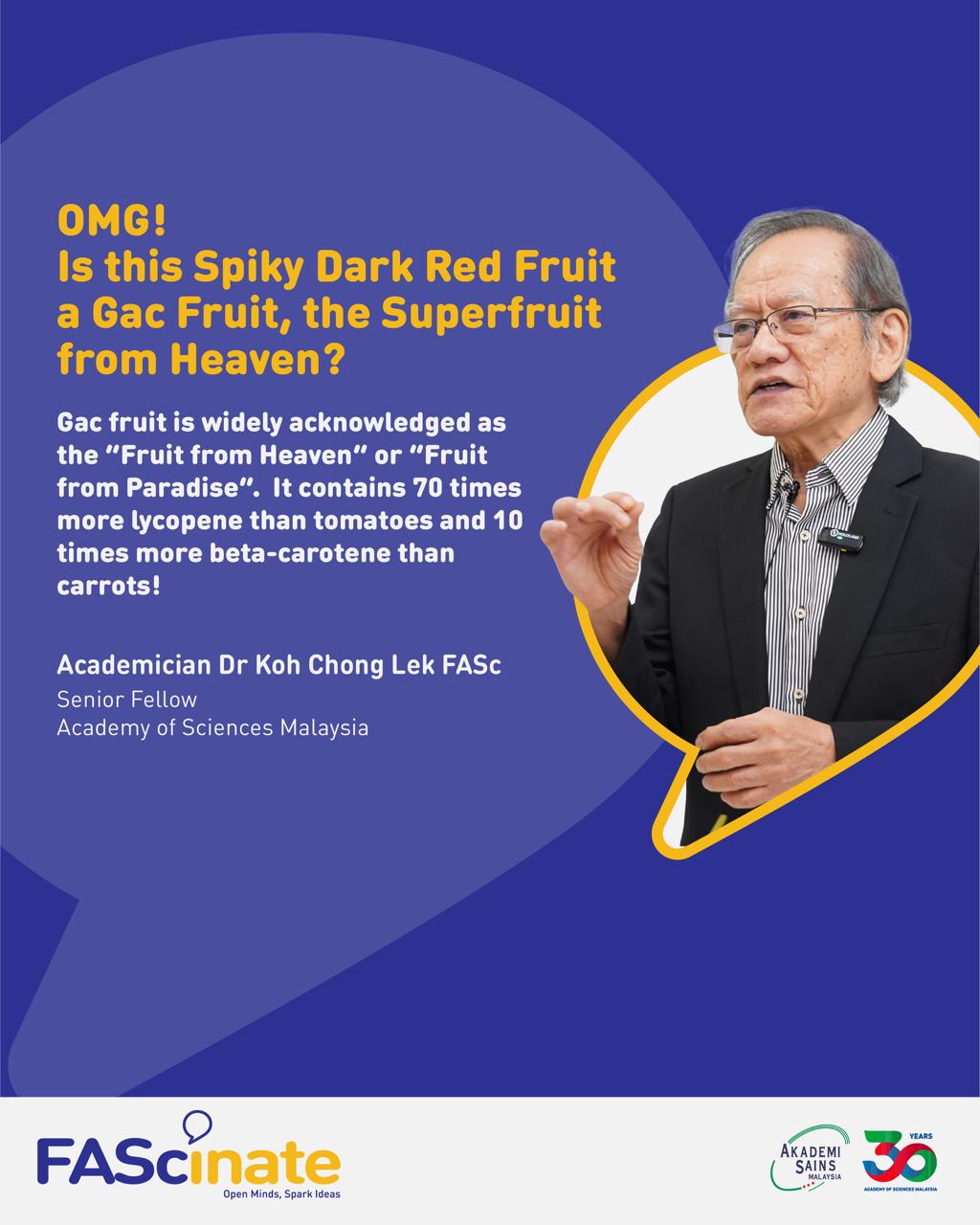 gac fruit, superfruit, vietnam, koh chong lek, fascinate