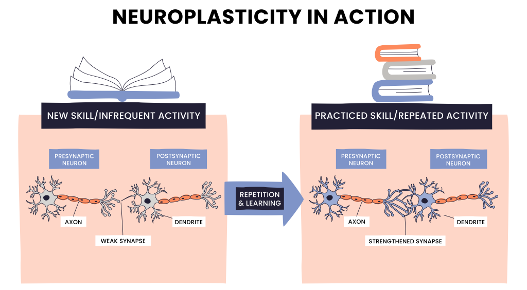 neuroplasticity, spiritual strength, al-Quran
