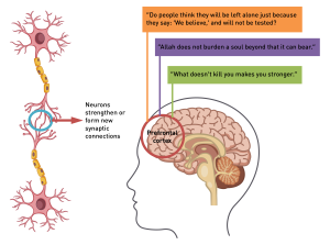 neuroplasticity, spiritual strength, al-Quran
