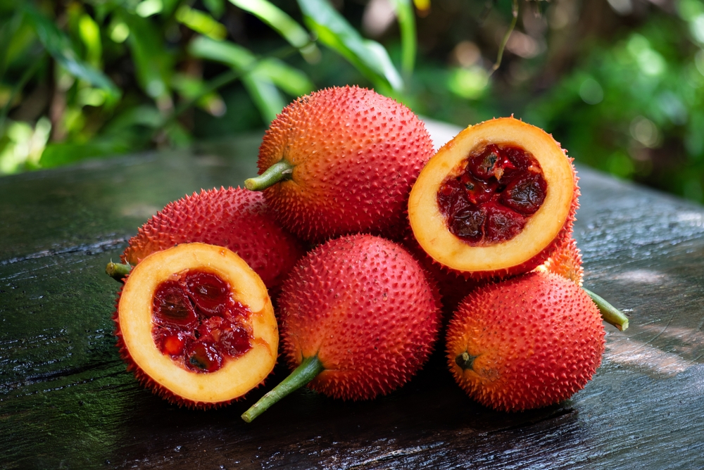 gac fruit, superfruit, vietnam, koh chong lek, fascinate