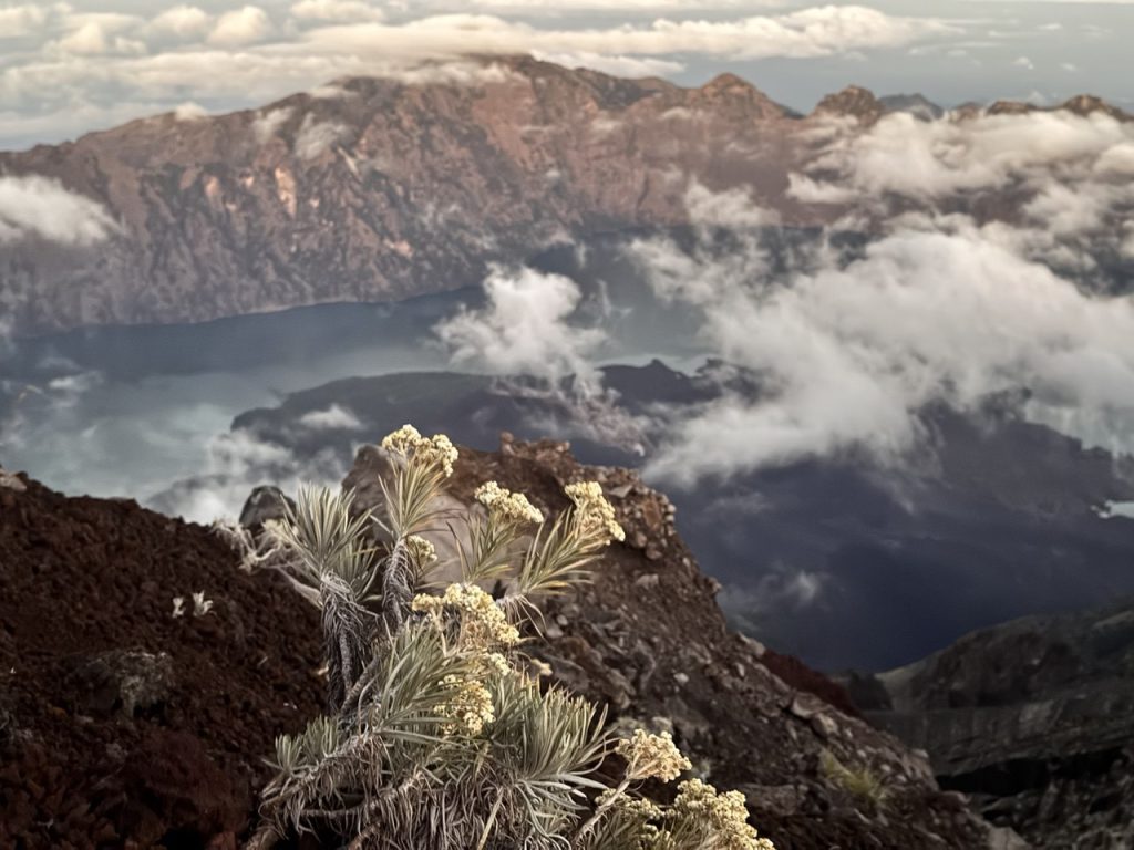 rinjani, stratovolcano, mcmillen anak otoh