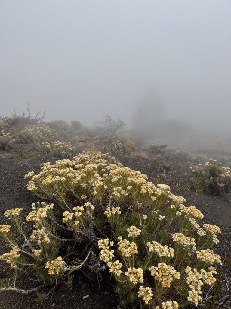 rinjani, stratovolcano, mcmillen anak otoh