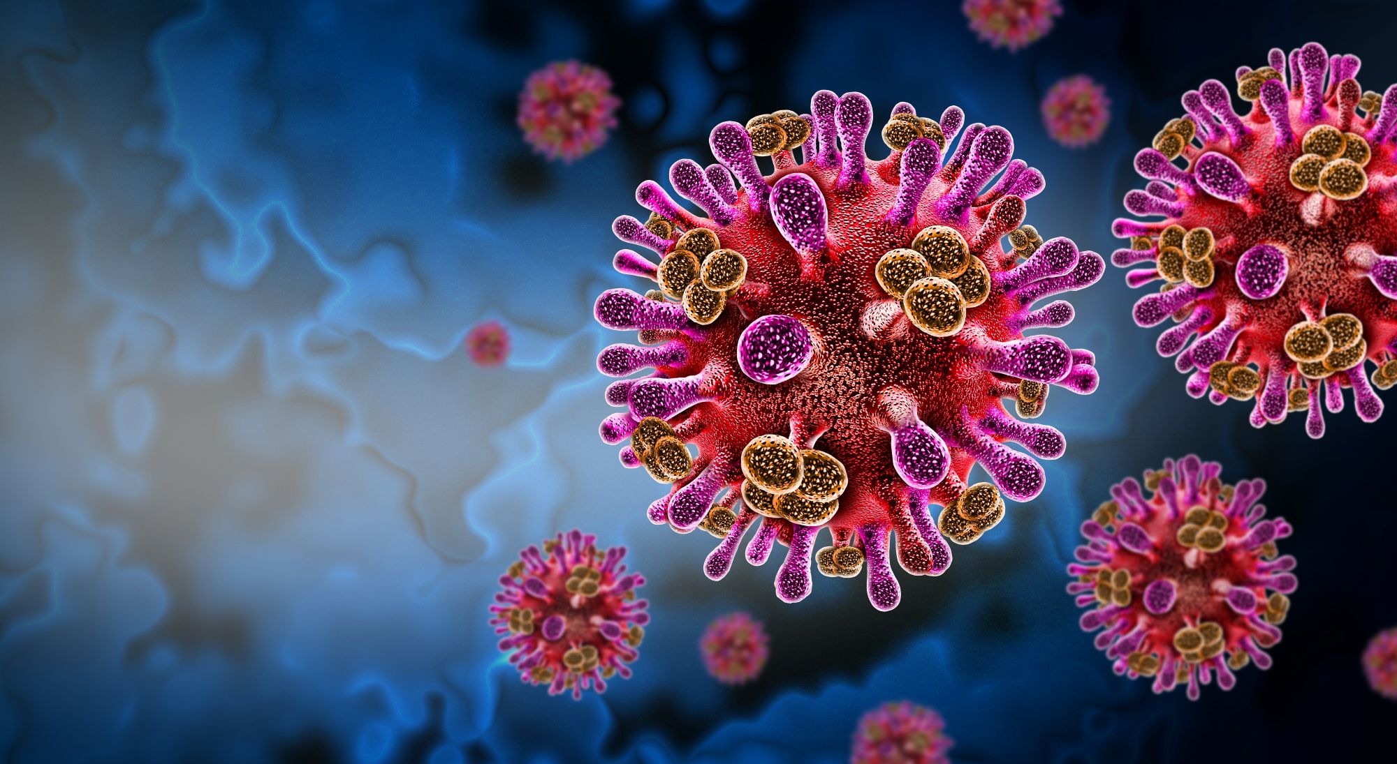 nipah virus, zoonotic pathogen