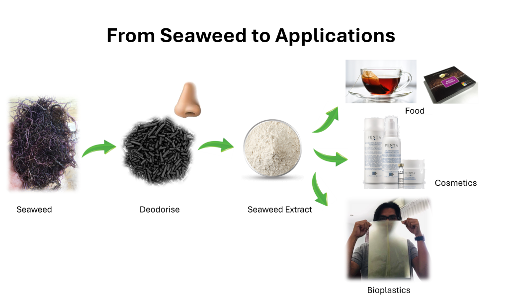 simplify science, science, science communication, seaweed, malaysia, japan