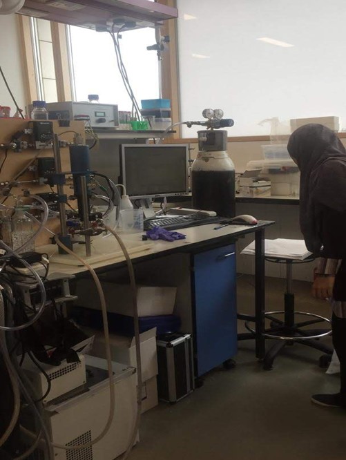 chemistry, electroanalytical chemistry, manchester institute of biotechnology, electrochemical cell