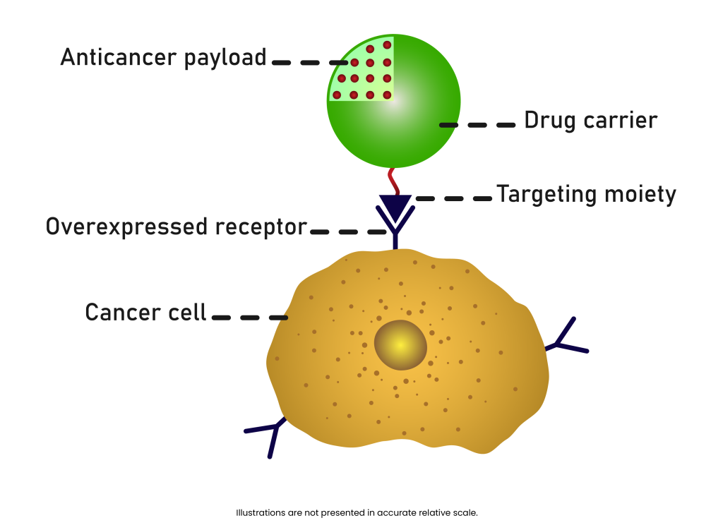 nanotechnology, cancer, drug delivery, medicine