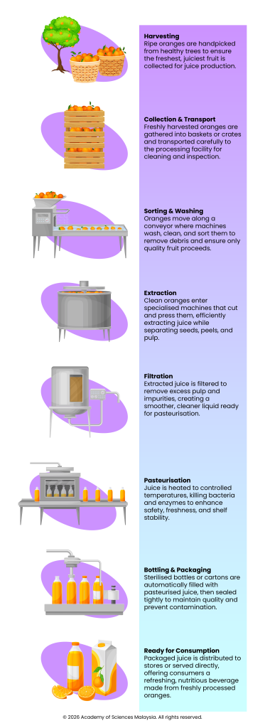 vitamin c, juice, processing, factory