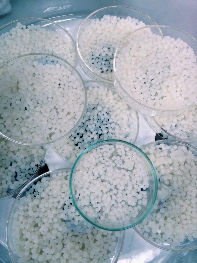 biotechnology, calcium alginate, bacterium