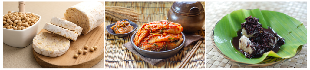 biotechnology, fermentation, fermented food, tempeh, tapai, kimchi