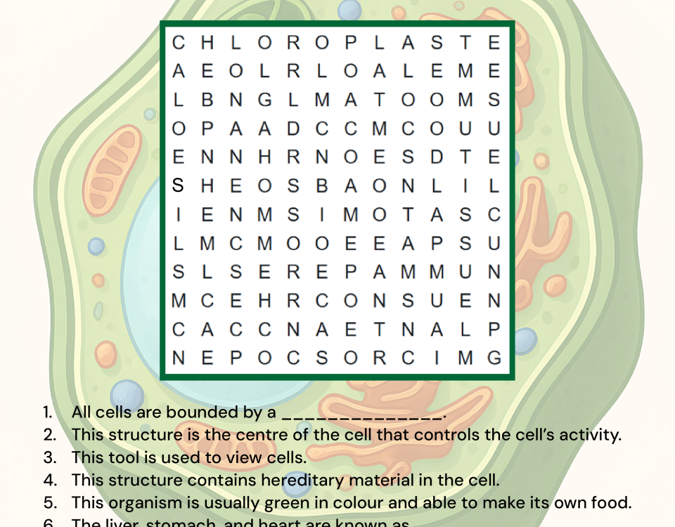 biology, stem, cells, cell structure, DNA