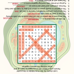 biology, stem, cells, cell structure, DNA