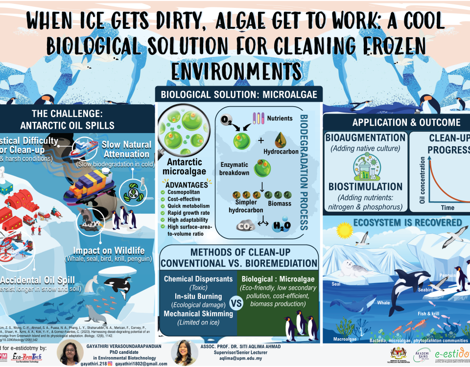 microalgae, antarctica, polar ecosystem, oil spill, environmental health