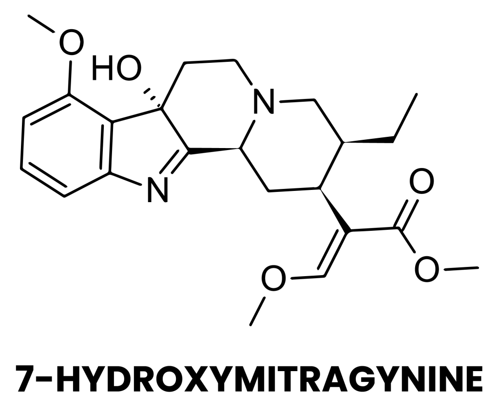 kratom, ketum, medicine, 7-hydroxymitragynine