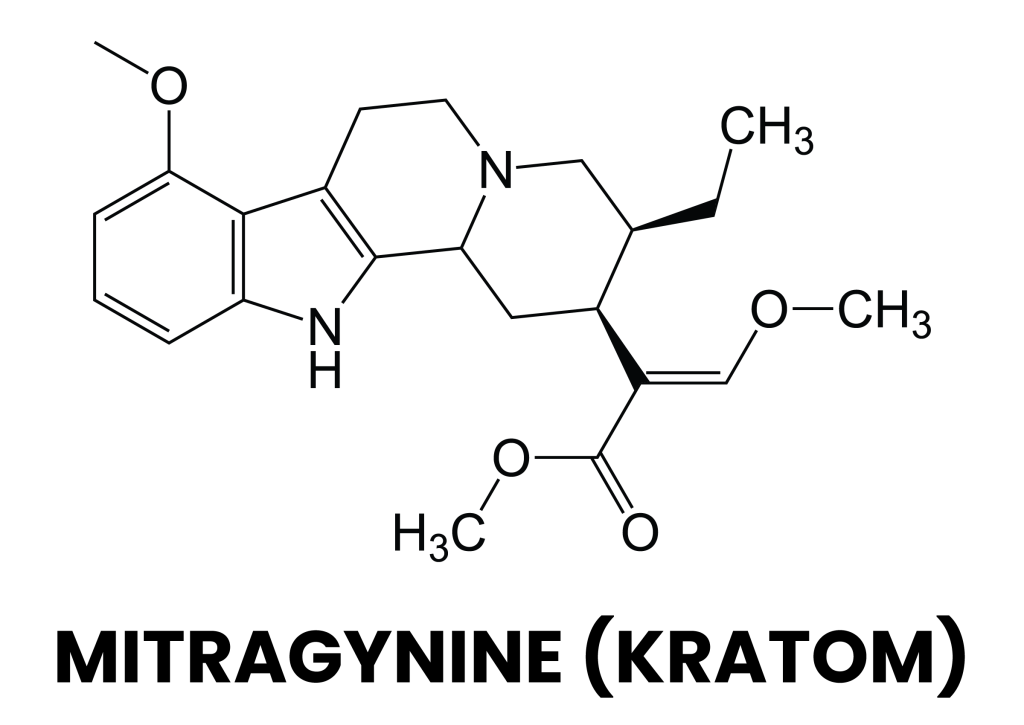 kratom, ketum, medicine, mitragynine