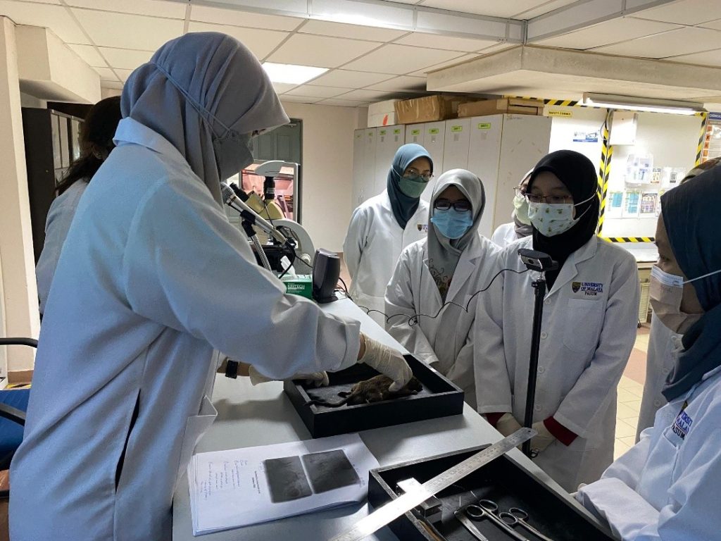 biology, public health, izzah ruzana