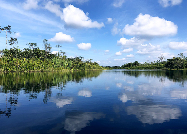 tanah bencah, setiu wetlands
