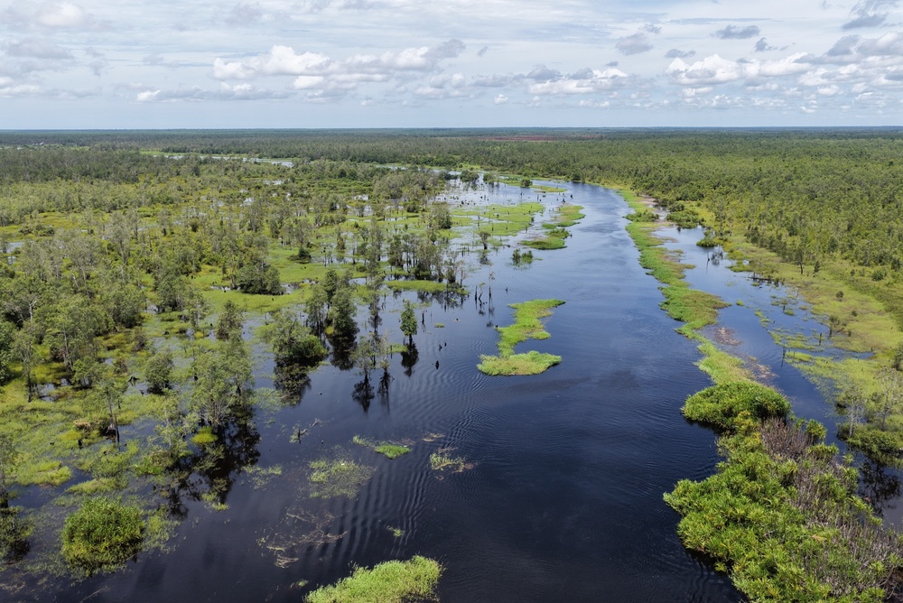 tanah bencah, kalimantan, indonesia