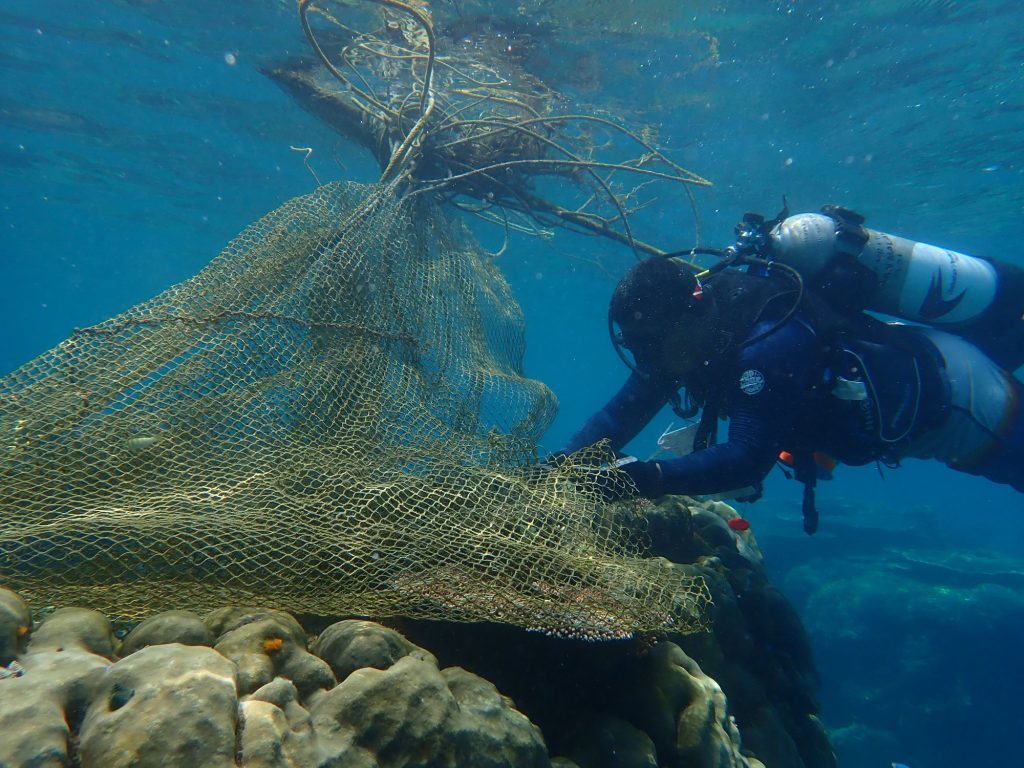 tioman, reef check malaysia, shahir yaman, coral reef