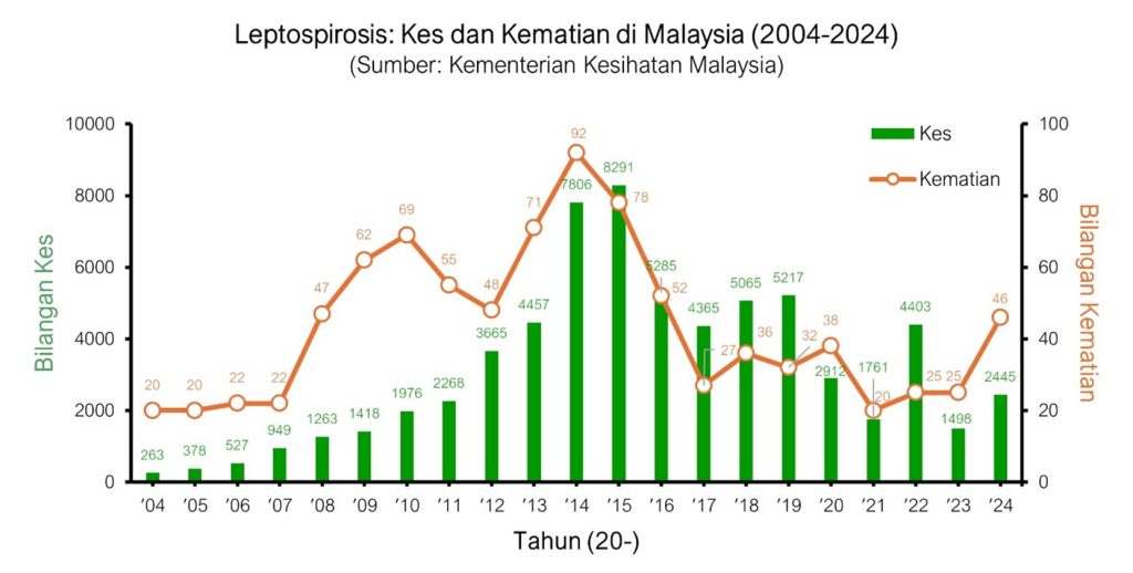 leptospirosis, penyakit berjangkit, bakteria