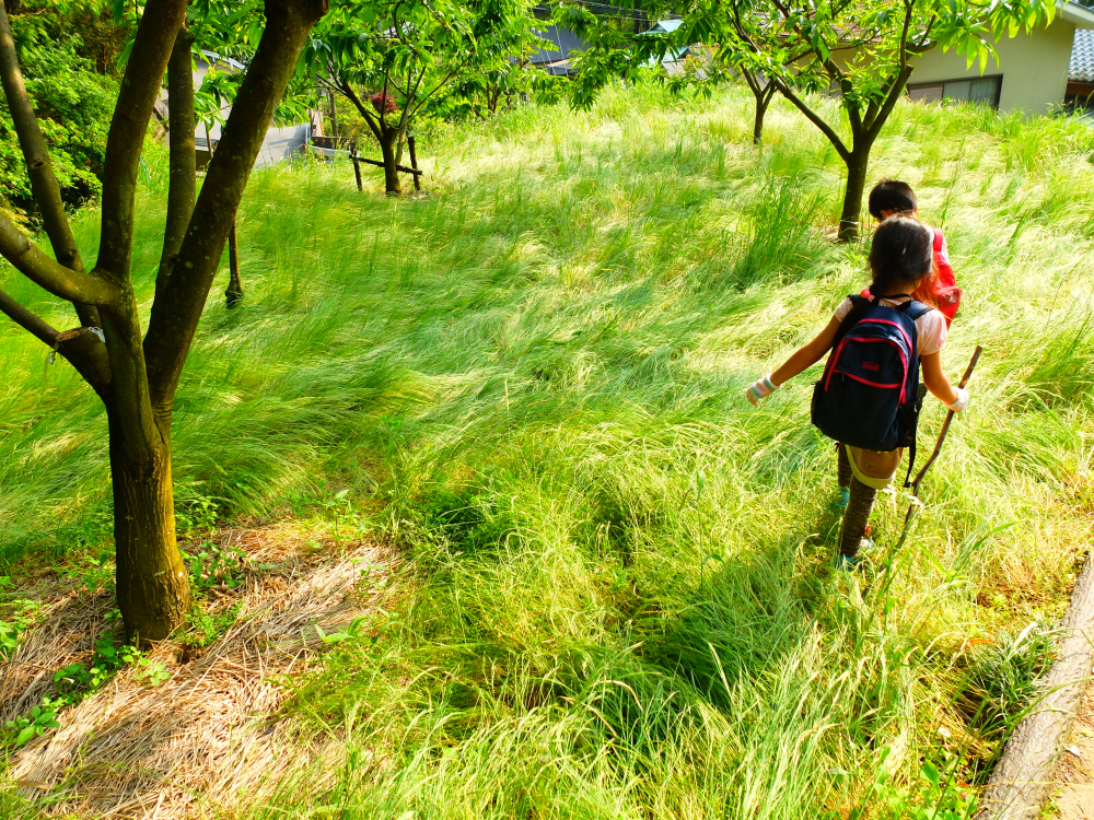 climate change, climate education, nature walks, adventure