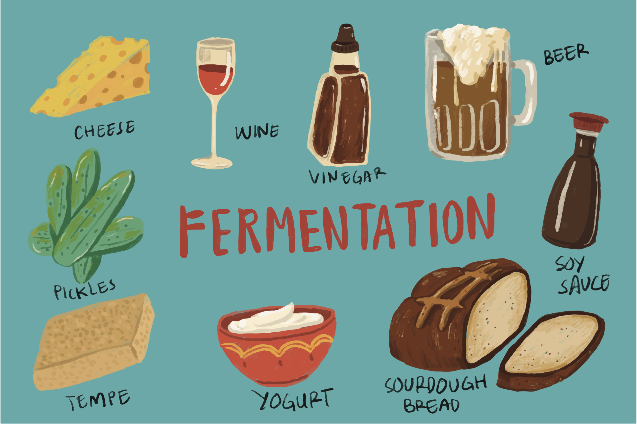 fermentation, food