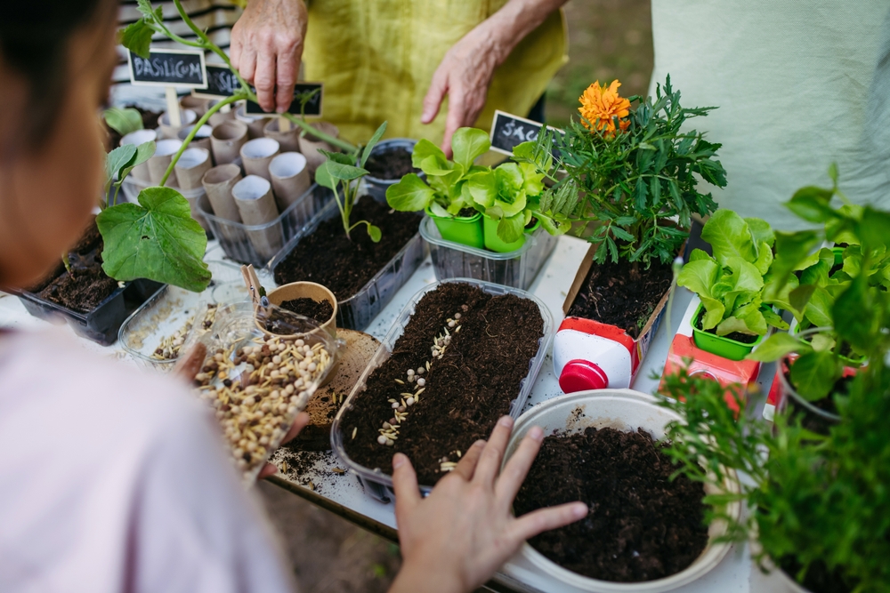climate change, climate education, container garden, gardening