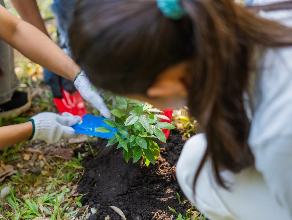 climate change, climate education, planting