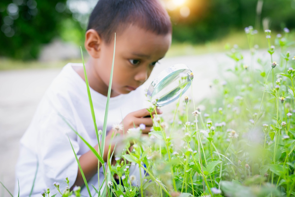 climate change, climate education, observation