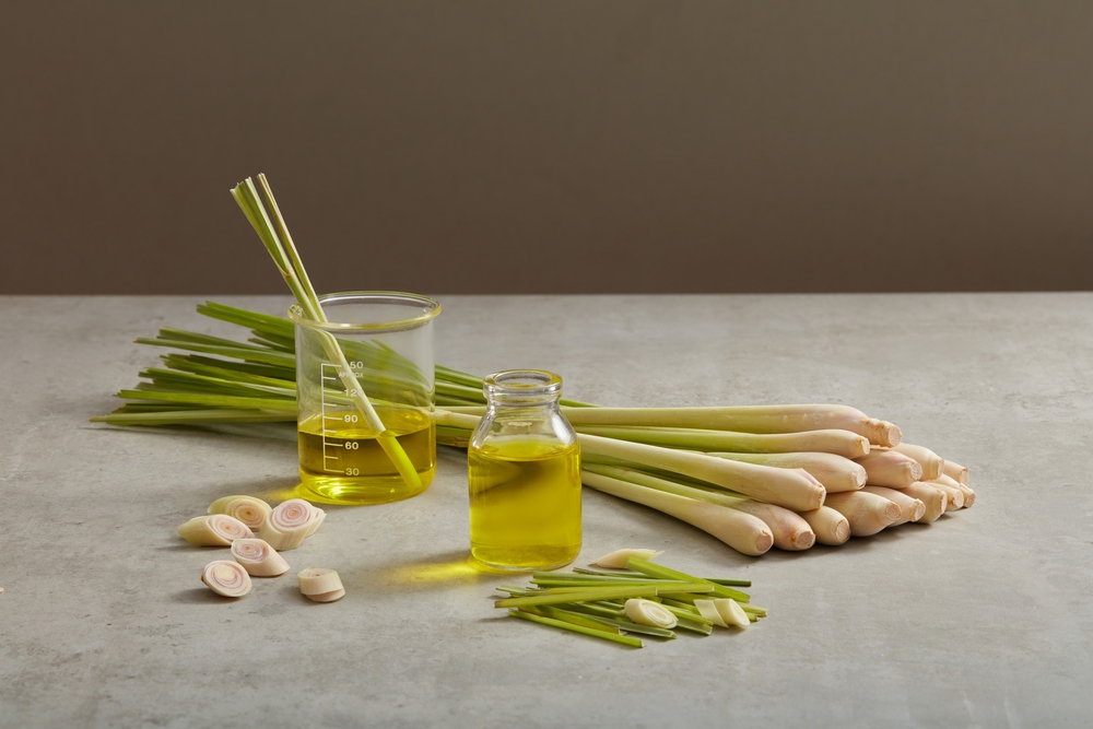 lemongrass, essential oil, gas chromatography-mass spectrometry, GC-MS